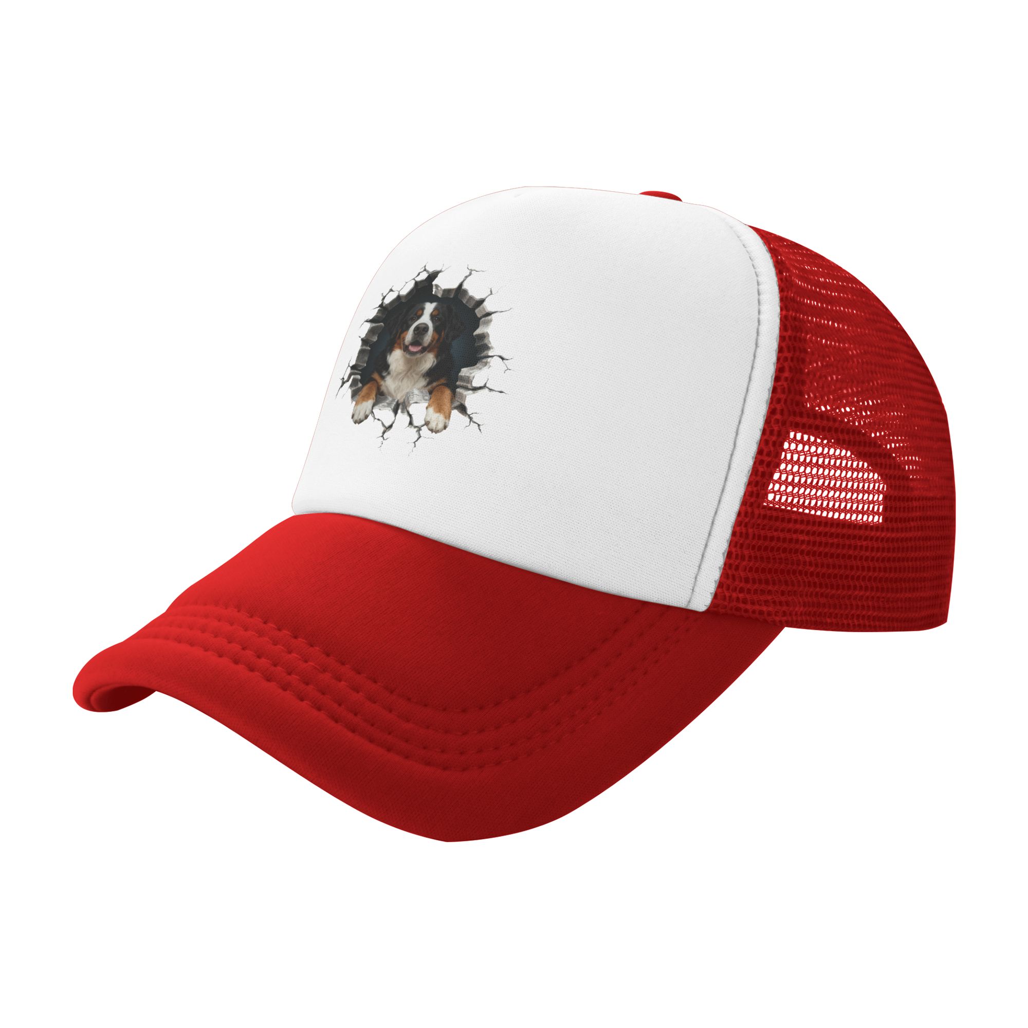 Кепка-тракер Breaking Through  – обзор и цена Trucker Hat Cap